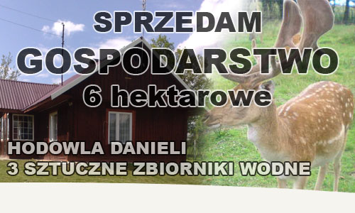 sprzedam gospodarstwo